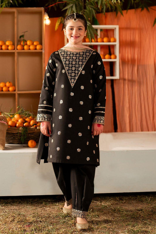2 pcs cotton Stitched Dress