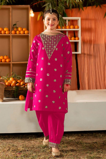 2 pcs cotton Stitched Dress